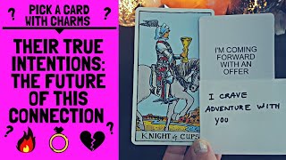 👥💖🤔THEIR TRUE INTENTIONS: THE FUTURE OF THIS CONNECTION🔥💖👥|🔮CHARM PICK A CARD🔮