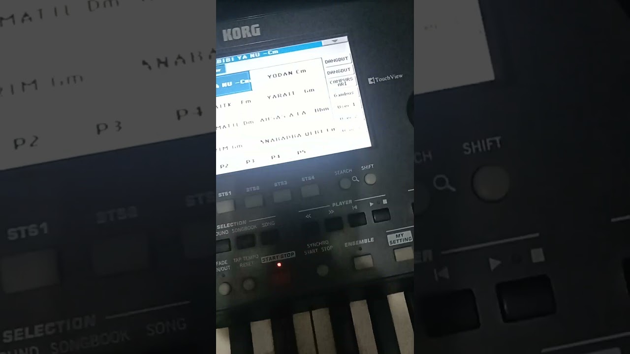 SET KOSIDAH GAMBUS HADRO BERSERTA SONGNYA Rp 50 rb saja promo 087723725855