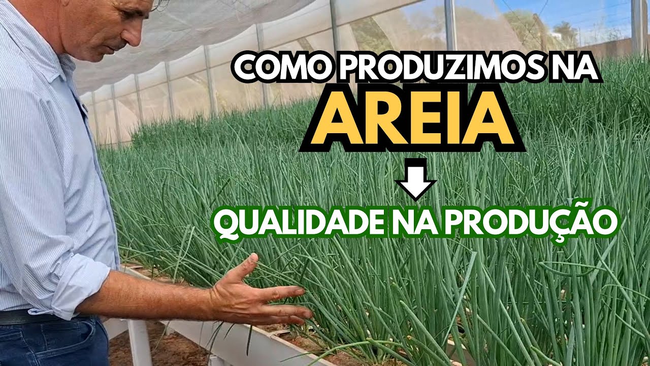 COMO FUNCIONA O CULTIVO NA AREIA