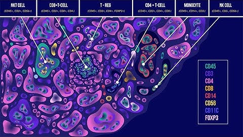 ChipCytometry | Canopy Biosciences