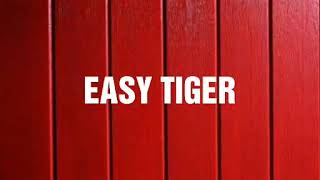 Portugal the man - Easy Tiger ( Lyrics Video)