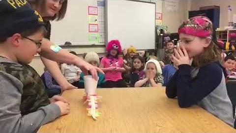 Can you build a bridge to hold 100 pennies? Second Grade STEM Project