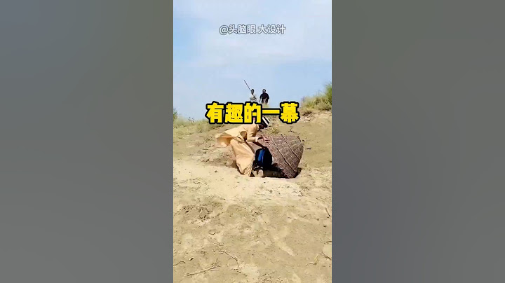 看着这一幕真是太有趣了 #涨知识#科普