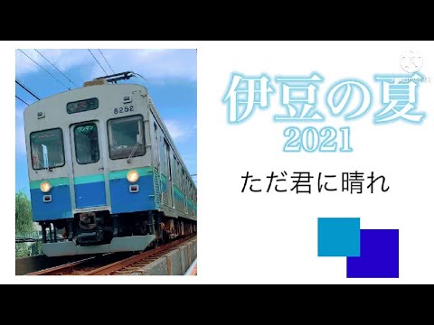 【鉄道PV】伊豆の夏〜ただ君に晴れ〜