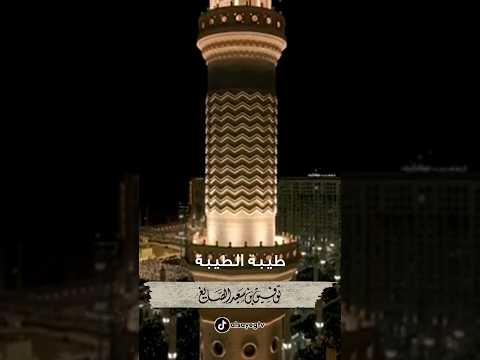 طيبة الطيبة الشيخ توفيق الصايغ