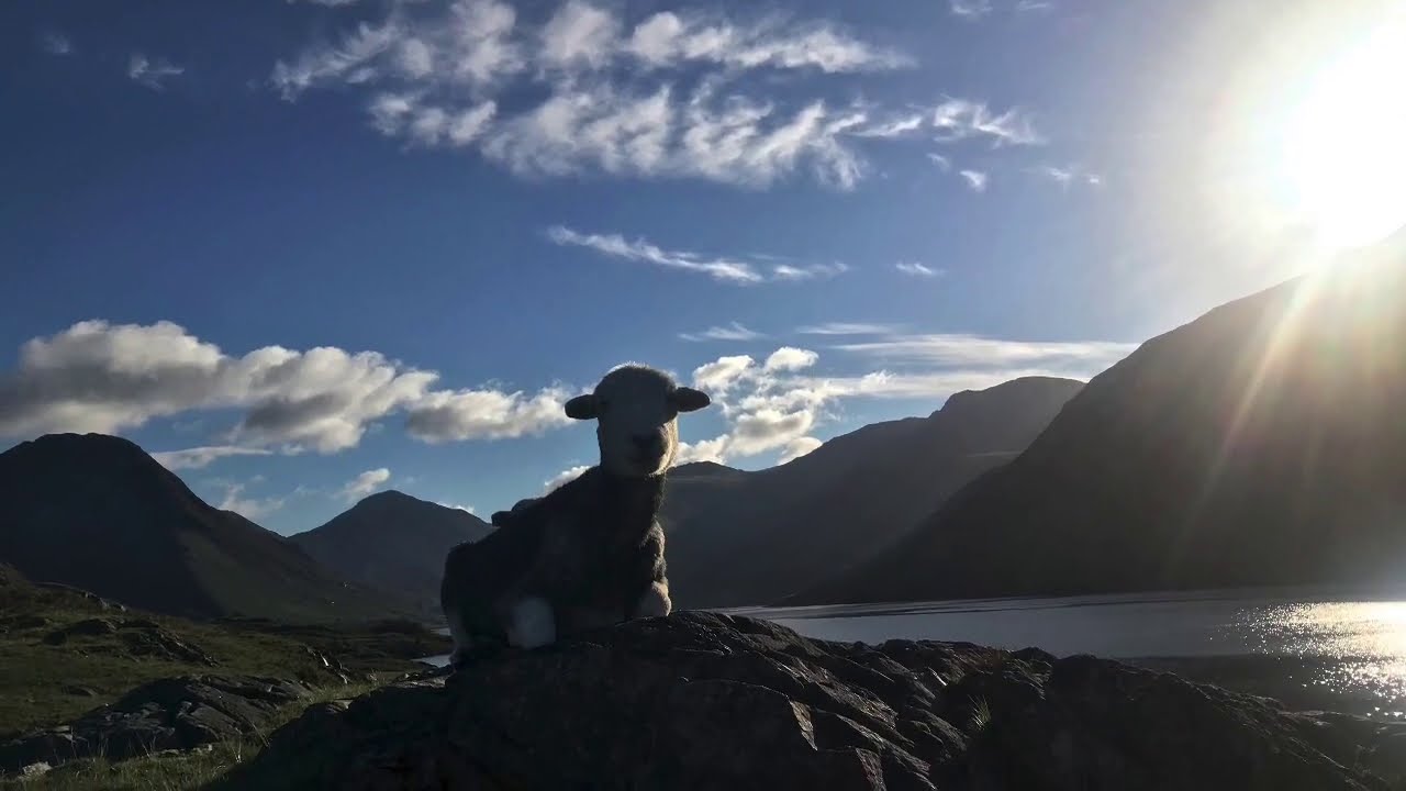 GB Senior A  G2 Routine Sept 2020