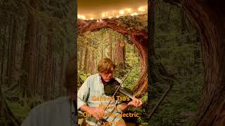 “General Tso’s Revenge” an original tune on 5 string electric fiddle. Subscribe if you like#fiddle