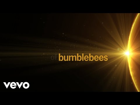 Bumblebee (Lyric Video)