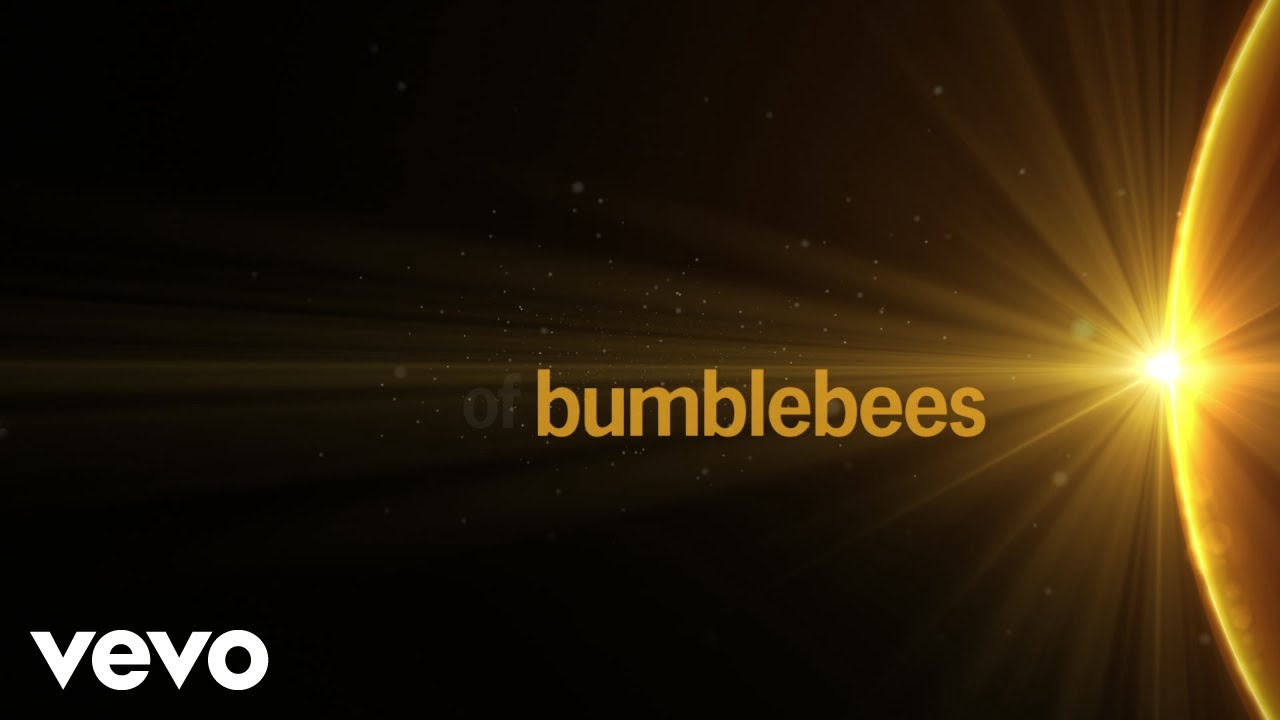 ABBA - Bumblebee (Lyric Video) Земна пчела