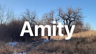 Milestone 8 - Amity App Meganne Jimenez screenshot 5