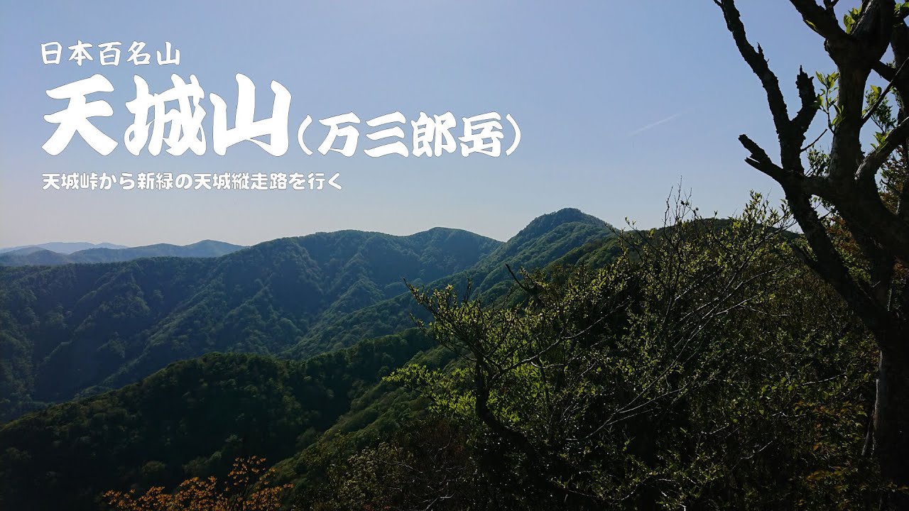 百名山 天城山 天城峠から新緑の天城縦走路を行く Youtube