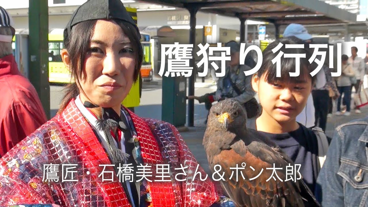 Jemima Parry-Jones'★Falconry★猛禽 鷹狩り タカ Jemima Parry-Jones'☆Falconry☆猛禽 鷹狩り タカ TRAINING