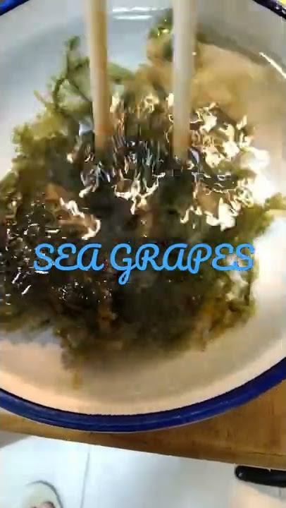 sea grapes/@Maricris Mix Channel