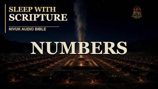 Numbers Audio Bible NIVUK | Full Book Read by David Suchet | Soft Piano for Sleep screenshot 3