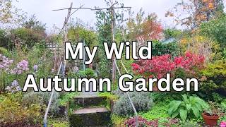 October Garden Tour of My Wild Welsh Garden