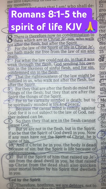 romans-8-1-5-the-spirit-of-life-kjv-bibleverse-youtube