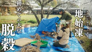 [Hiver à la campagne] Battage du soja. Comment s'est passée notre première culture de soja ? | 176