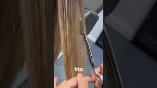 Como Utilizar Tijera De Pulir O Entresacar