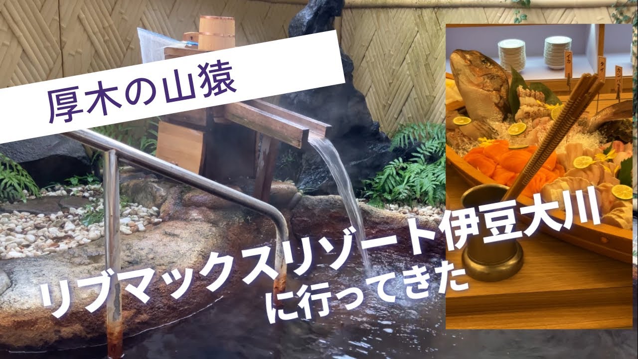 リブマックスリゾート伊豆大川に行ってきた＠厚木の山猿