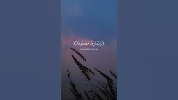 فيها سرر مرفوعة وأكواب موضوعة القارى عبدالرحمن مسعد سورة الغاشية #quran #راحة_نفسية #رحيق_الايمان