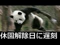 【衝撃】殿堂入りボケてがツッコミどころ満載だったwww76【ツッコミ】