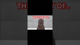 The Story of the Chewbaca Doll