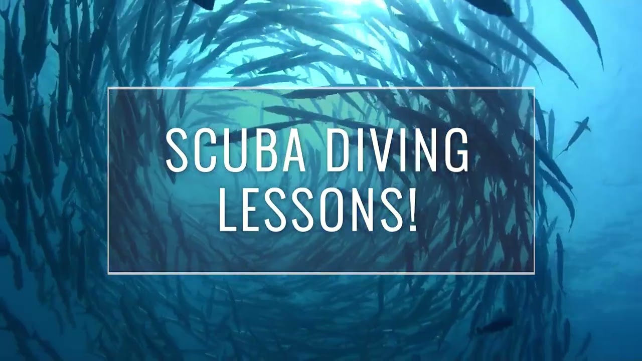 Holiday 2020   TV Spot   15s   generic   youtube preset