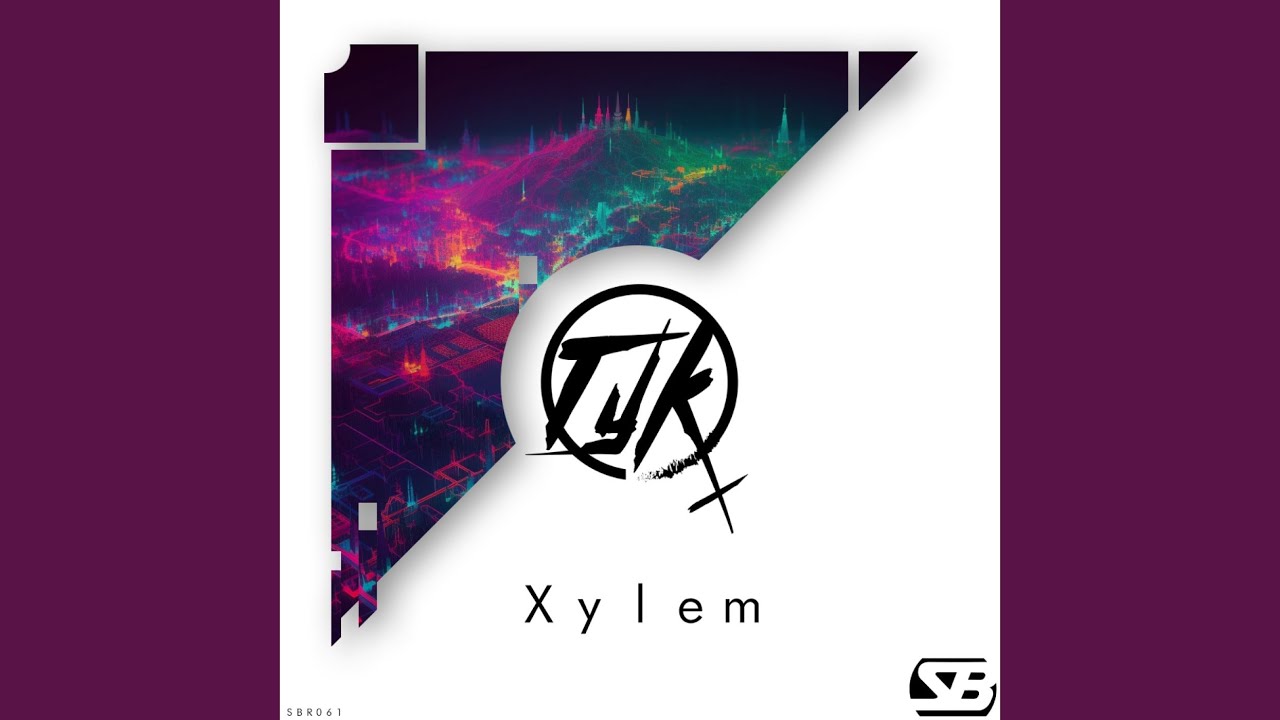 Guarda Xylem (Original Mix) su YouTube Guarda Xylem (Original Mix) su YouTube