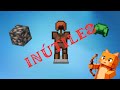 3 cosas inútiles en Minecraft