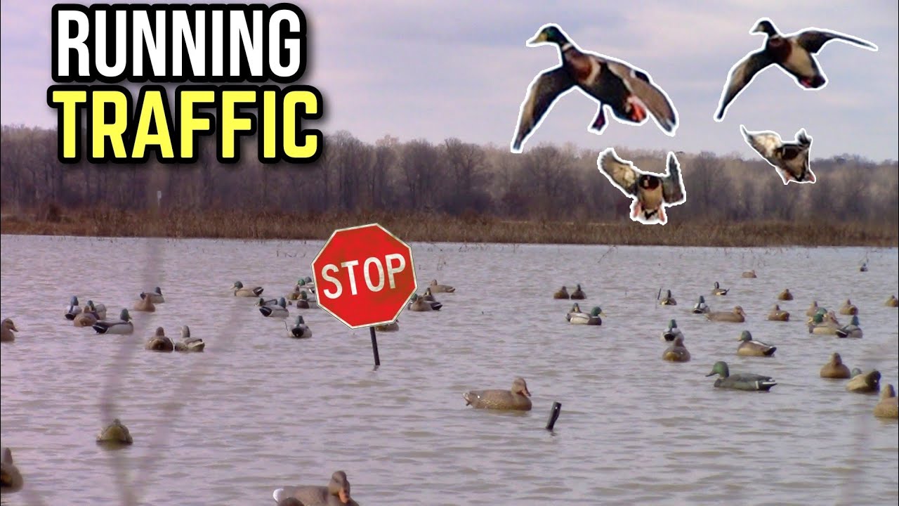 Become a MASTER at Running Traffic!! Put More Ducks In Your Spread ...
