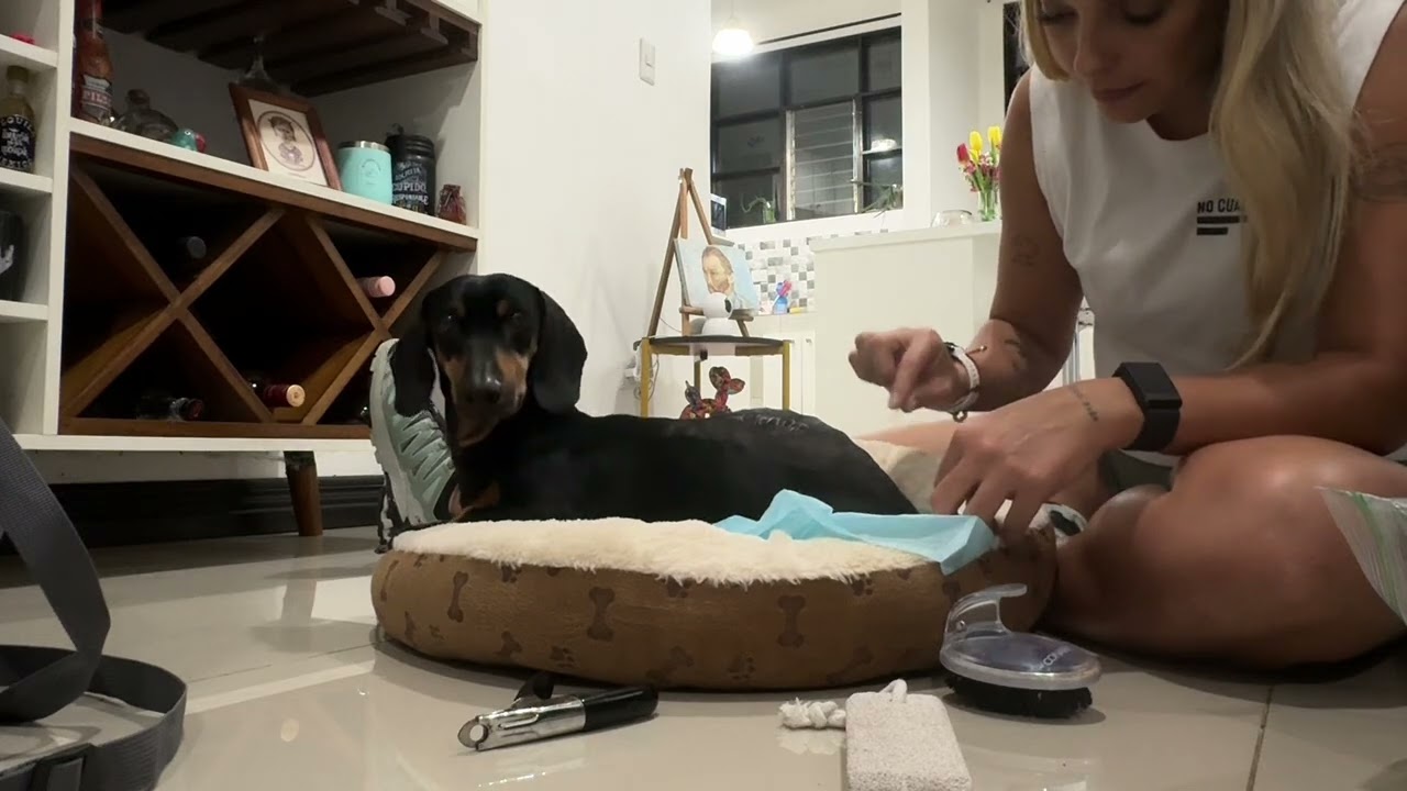 Terapia en casa para Milo