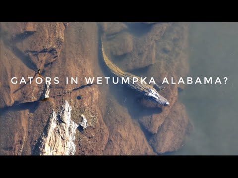 WETUMPKA: This city in Alabama has it all! History, casinos and even GATORS