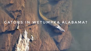 WETUMPKA: This city in Alabama has it all! History, casinos and even GATORS
