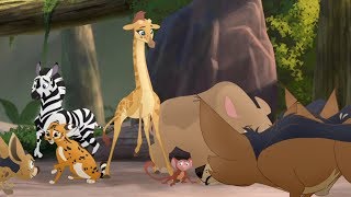 Lion Guard: The Jackals Strike Again | Babysitter Bunga HD Clip