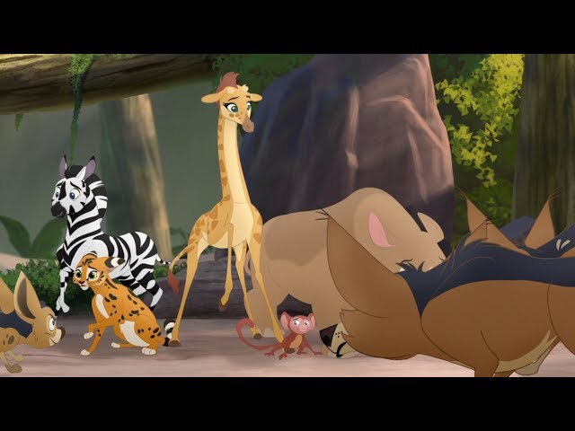 Lion Guard: The Jackals Strike Again | Babysitter Bunga HD Clip