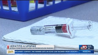 Hepatitis A increase causes concern