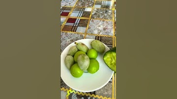 #youtube #playlist #newmusic #song #shortvideo #music #youtubeshorts #ytshorts #shorts #short #video