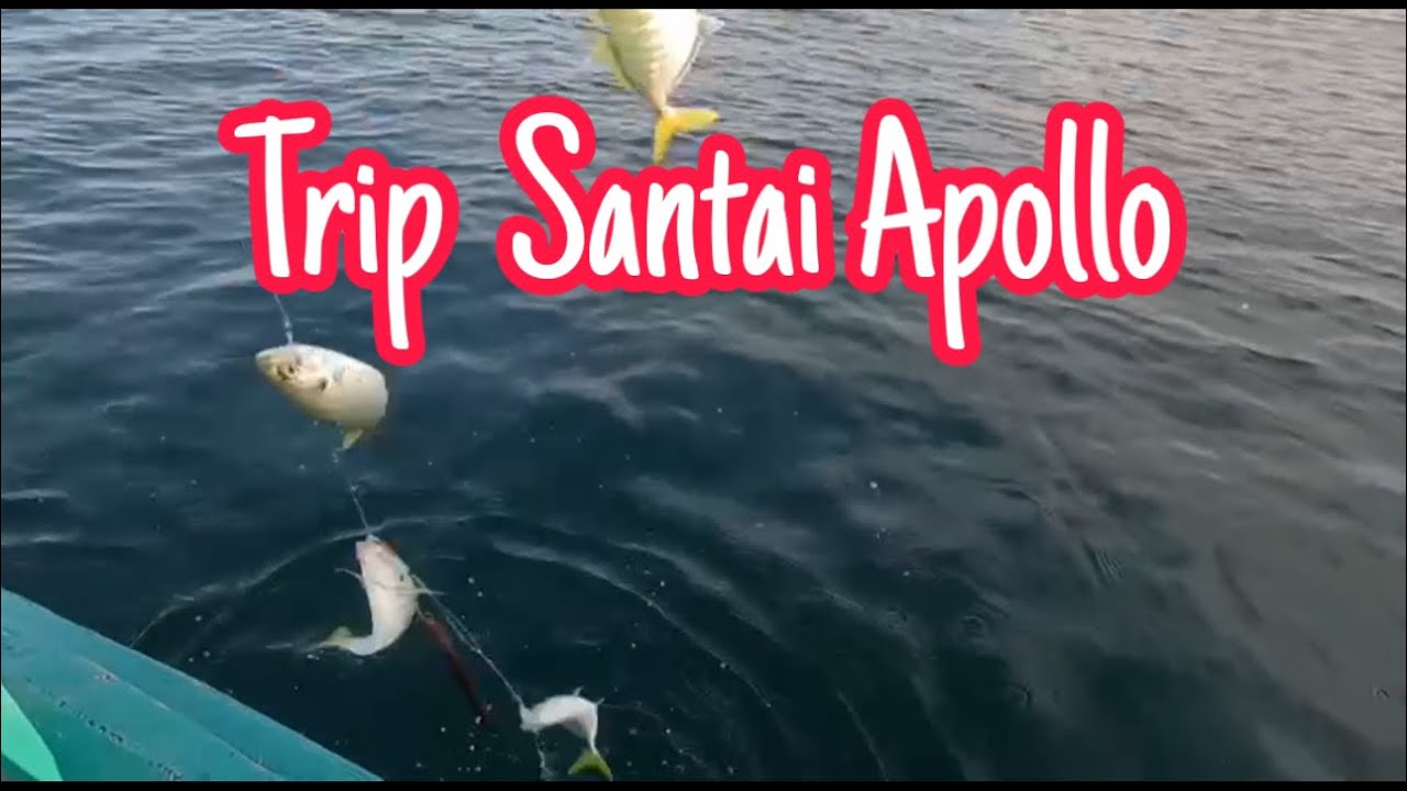 Petang Santai Mancing Apollo, Selar Kuning