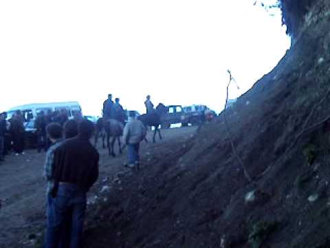 რაჭა, მრავალძალი 2010