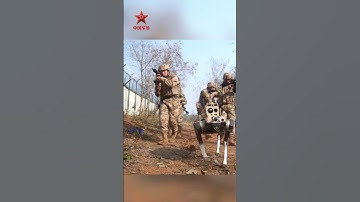 Robot dogs team up with Chinese soldiers, boosting combat capabilities.