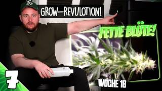 INSANE SECRET HACK for INDOOR GROWING! | Vivosun & Secret Jardin | luckyandstoned