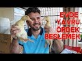 Evde Yavru Ördek Bakımı