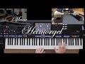 20 Beispiele Genos "Meine Heimorgel" Orgel-Registrierungen Sounds & Styles