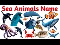 Learn 30 Amazing Sea Animals Names in English | Ocean Creatures for Kids