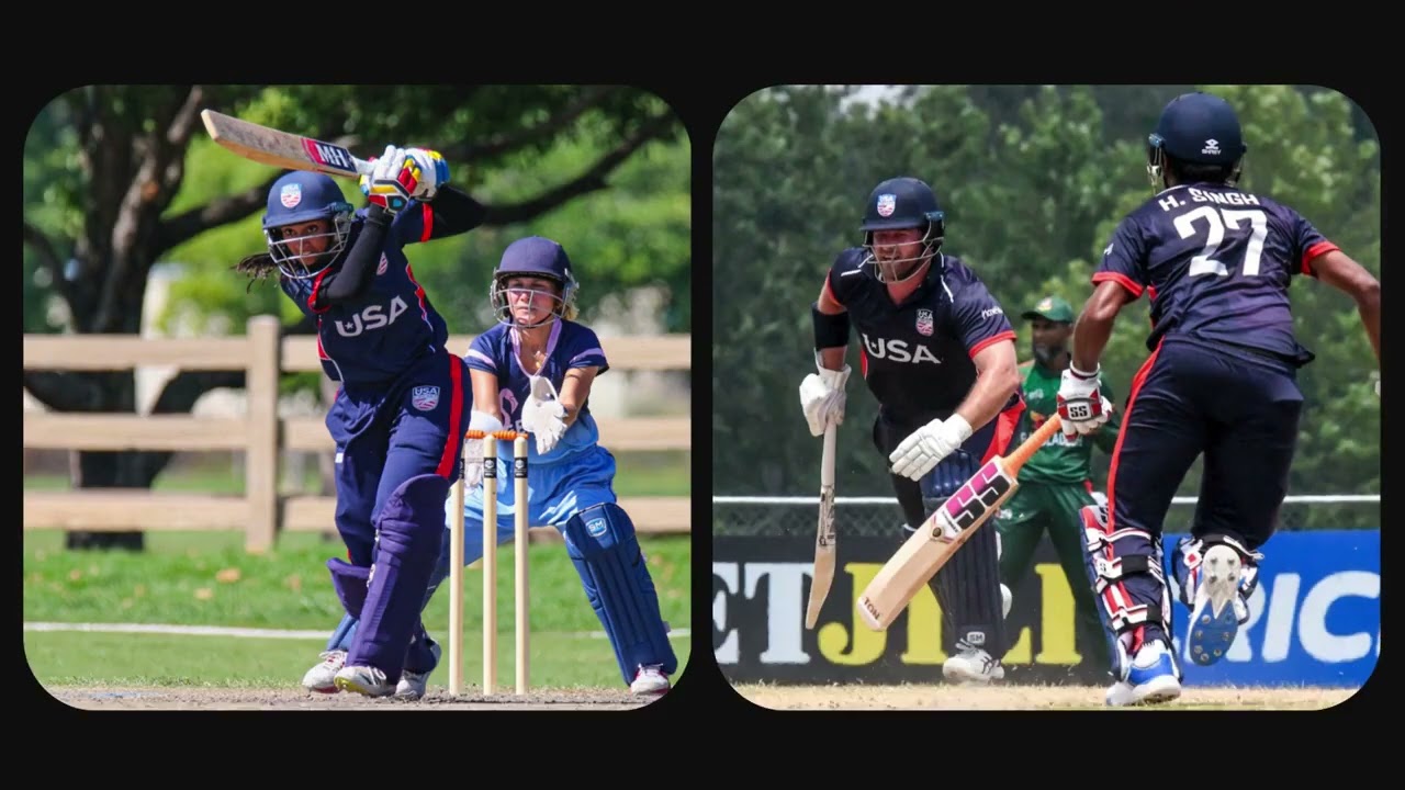 Buy SS GG Smacker Player cricket bat USA in affordable price