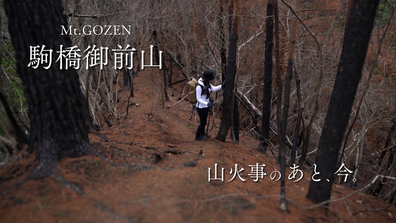 駒橋御前山｜山火事のあと、今。2025