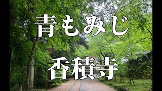 香嵐渓 青もみじの香積寺2024