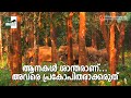 ആനകൾ ശാന്തരാണ്... അവരെ അവരുടെ വഴിക്ക് വിടുക...