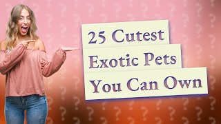 Can I Own Exotic Animals as Pets? Discover 25 Cutest Options!