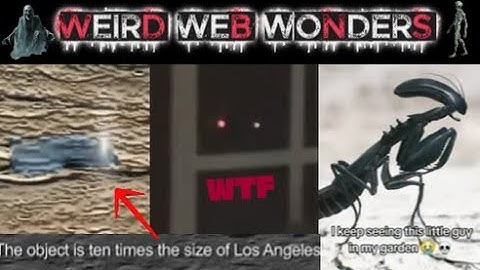 weird web wonders vol 59